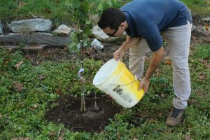 Outdoor water conservation